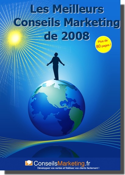 ebook les meilleurs conseilsmarketing de 2008