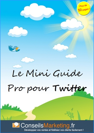 Le mini guide pro pour twitter