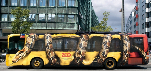 pub zoo bus