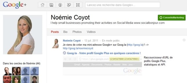 noemie-coyot