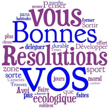 bonnes-resolutions-2013