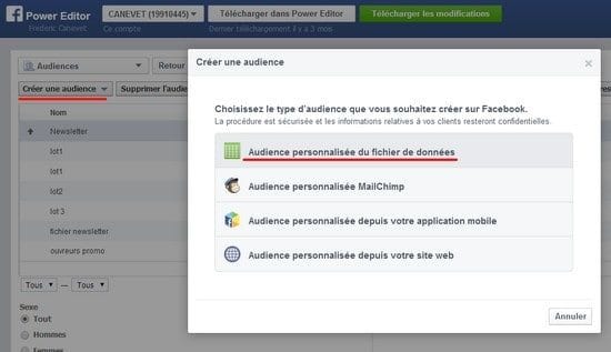 Comment trouver ses premiers clients quand on est freelance ou consultant ? – Partie 2 - Mettre en place des générateurs de prospects à la performance 22 power editor