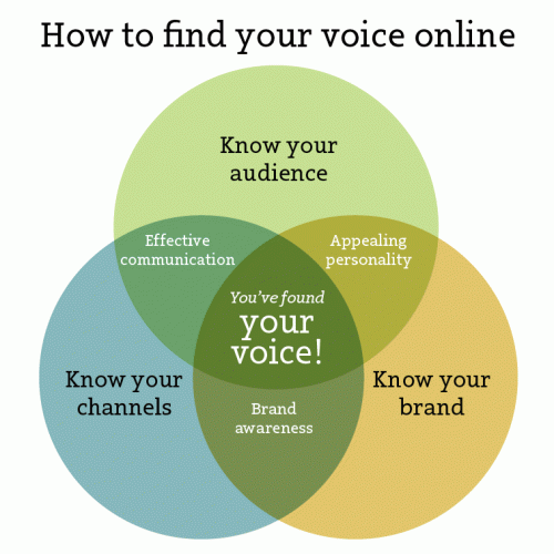 how-to-find-your-voice-online1