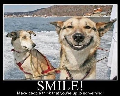 funny-life-related-motivators-smile
