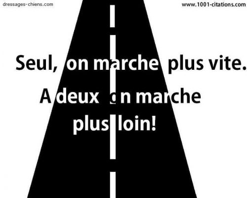 Ne tenez pas un Blog... créez un Business ! 12 318104_435392883151505_291059167584878_1505801_179730900_n