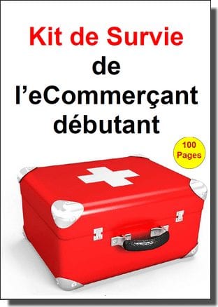 Comment produire du contenu et écrire des livres sans s'épuiser ? - Partie 1 8 guide-ecommerce