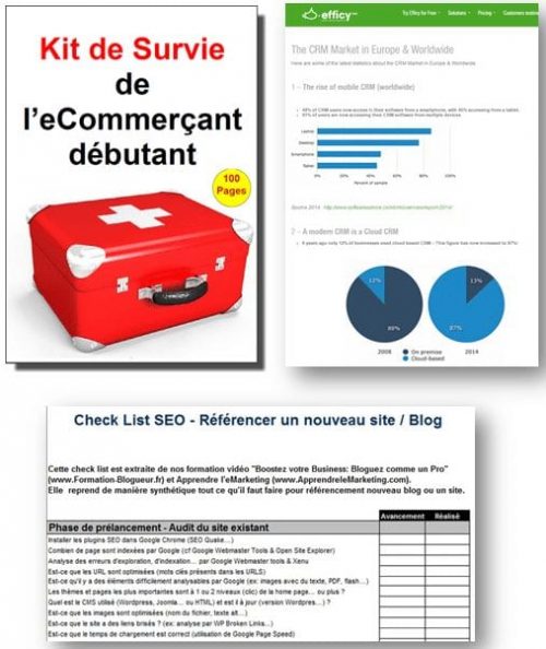 Comment attirer les 1000 premiers visiteurs pour son site internet - Le replay de la conférence ! 5 bonus en échange d'un email
