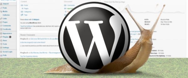 Comment (vraiment) optimiser et améliorer la vitesse d'un site Wordpress ? 4