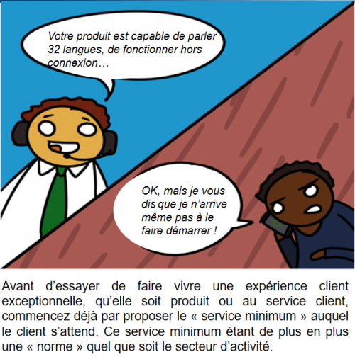 The Customer Experience Cartoon - English version 12