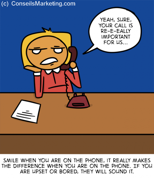 The Customer Experience Cartoon - English version 11