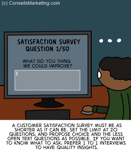 The Customer Experience Cartoon - English version 70
