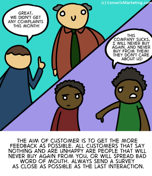The Customer Experience Cartoon - English version 60
