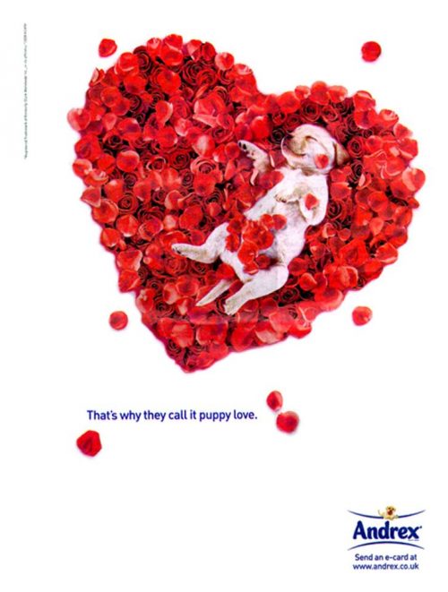 Les plus belles publicités sur la Saint Valentin... de quoi devenir Romantique - creative valentine's day ads 5