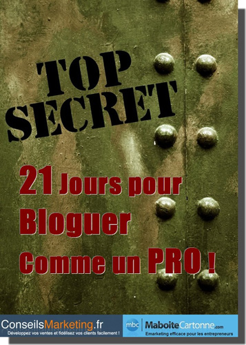 eBook Gratuit " 21 Jours pour Bloguer comme un PRO !" 4