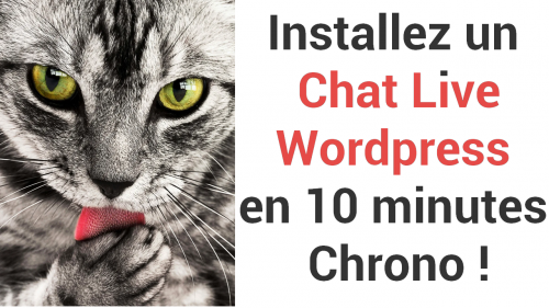 Comment installer un Chat Live Wordpress ? Voici le Tuto avec Brevo en 10 minutes Chrono ! 4 chat live wordpress