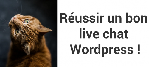 Comment installer un Chat Live Wordpress ? Voici le Tuto avec Brevo en 10 minutes Chrono ! 6 Comment installer un Chat Live Wordpress ? Voici le Tuto avec Brevo en 10 minutes Chrono ! 4