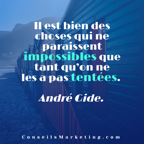 Les 300 Citations Marketing, et sur le développement personnel, parmi les plus inspirantes ! 390 Les 300 Citations Marketing, et sur le développement personnel, parmi les plus inspirantes ! 390