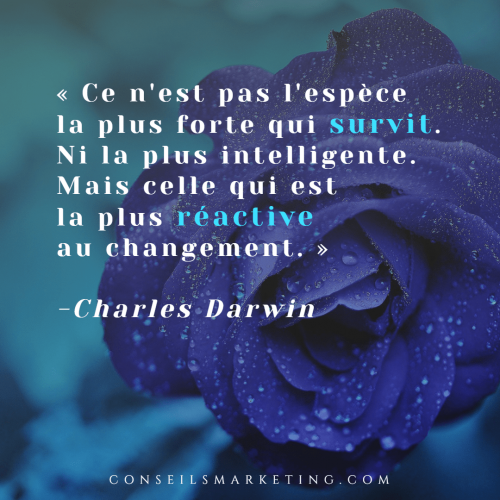 Les 300 Citations Marketing, et sur le développement personnel, parmi les plus inspirantes ! 353 Les 300 Citations Marketing, et sur le développement personnel, parmi les plus inspirantes ! 353