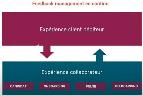 Comment améliorer l'engagement des salariés ? Cas pratique avec iQera et le programme Qer d'engagement des collaborateurs ! 6 Comment améliorer l'engagement des salariés ? Cas pratique avec iQera et le programme Qer d'engagement des collaborateurs ! 6