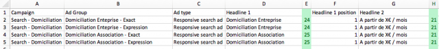 Google Ads Editor l'outil pour créer des campagnes Google Ads 10 fois plus vite ! 21