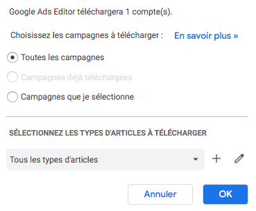 Google Ads Editor l'outil pour créer des campagnes Google Ads 10 fois plus vite ! 11