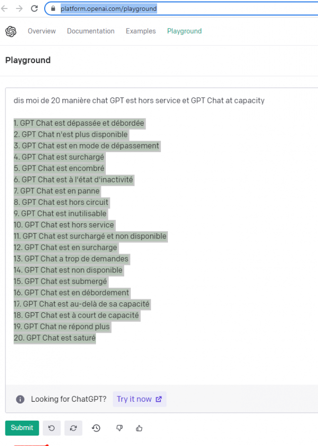 Que faire quand le chat GPT est hors service (GPT Chat at capacity) ? 10