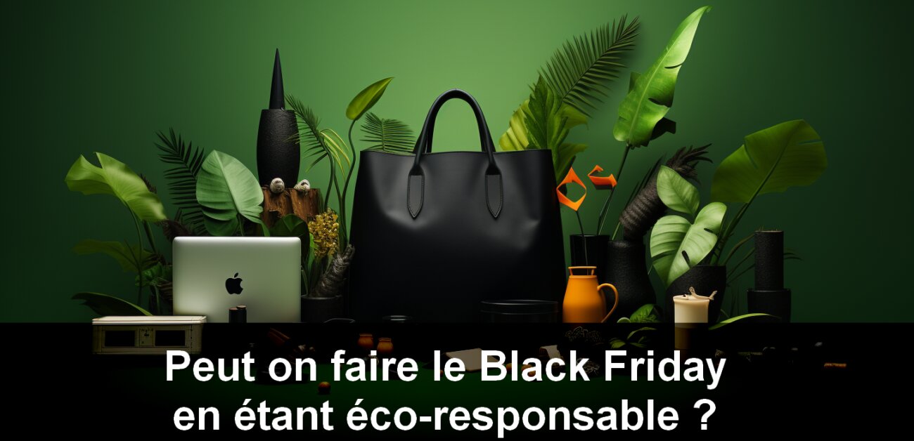 Comment faire des promotions black friday tout en étant éco-responsable ? 1 Comment faire des promotions black friday tout en étant éco-responsable ? 1