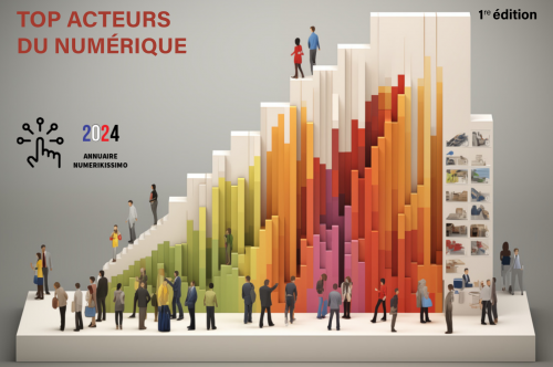 Numerikissimo, l'annuaire du numérique en France est disponible - Le Top acteurs du numérique en France en 2024 5