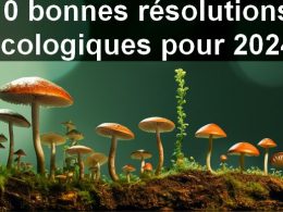 Bonnes résolutions 2024 : 10 bonnes résolutions écologiques à appliquer dès demain ! 17