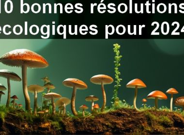 Bonnes résolutions 2024 : 10 bonnes résolutions écologiques à appliquer dès demain ! 10