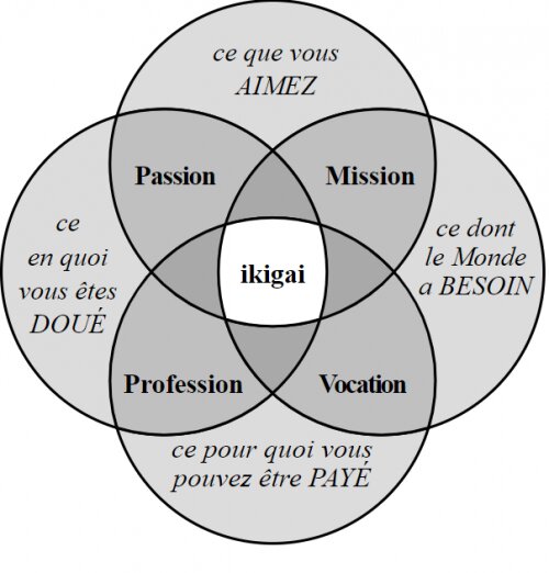 Quitter le salariat, travailler en liberté… le guide pour celles et ceux qui rêvent de quitter leur job mais qui n’osent pas ! - Mon avis sur le livre de Stéphane Truphème 5 Quitter le salariat, travailler en liberté… le guide pour celles et ceux qui rêvent de quitter leur job mais qui n’osent pas ! - Mon avis sur le livre de Stéphane Truphème 5