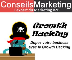 Deepseek, Grok, ChatGPT, Claude, Mistral... Quelle intelligence artificielle choisir et pour quels besoins ? 35 Deepseek, Grok, ChatGPT, Claude, Mistral... Quelle intelligence artificielle choisir et pour quels besoins ? 35